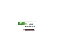 Vitine lunghe autofilettanti - 9000000000009